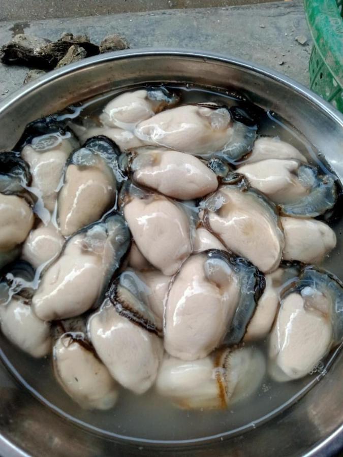 Thai Bao Hotel And Restaurant Chan Chau Экстерьер фото
